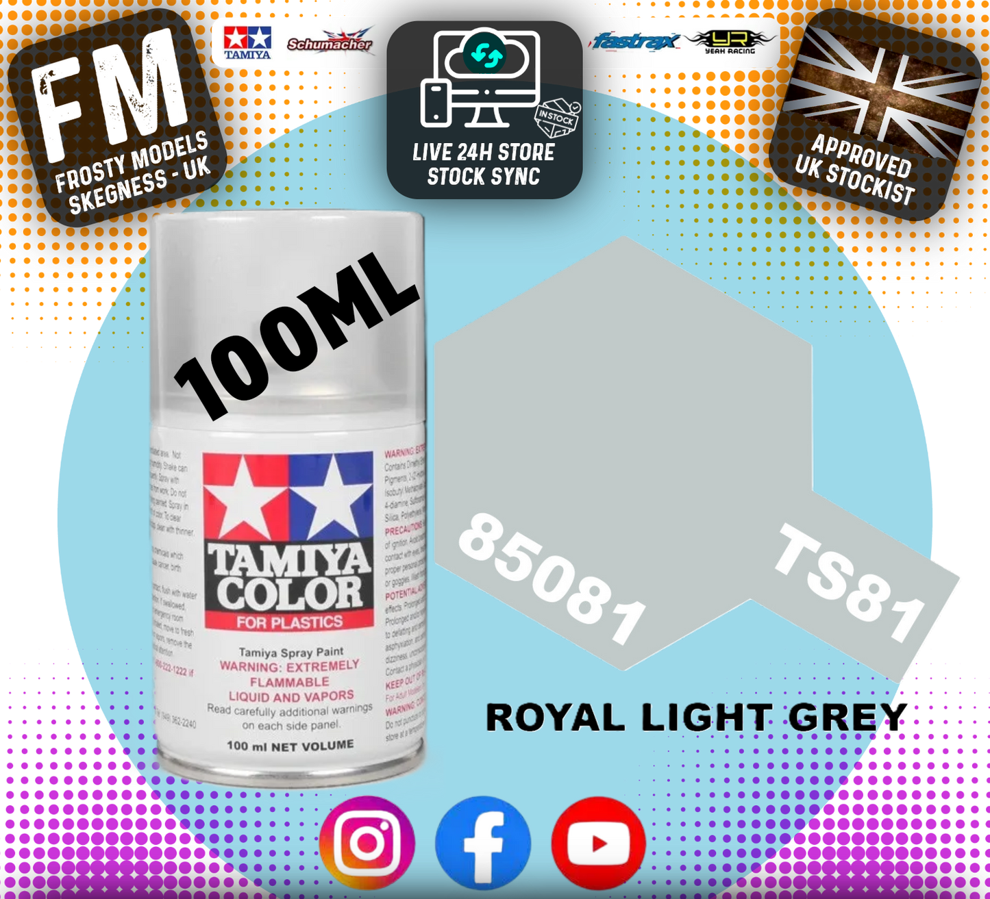TAMIYA - TS SPRAY PAINT - TS81 Royal Light Grey