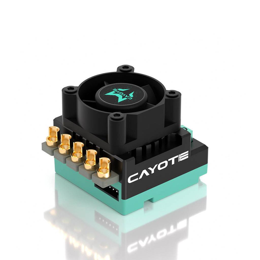 CAYOTE - CREST RS60 1/10 Stock Competition ESC - CYEA11004 (Ideal for 1/10th Touring Car & Buggy, 1/10th Drift, Professional Stock Class Racing)