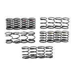 Yeah Racing - DSG 55mm Shock Gear Spring Set - DSG-002BK