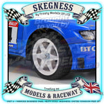 Tamiya - 1/10 RC Car Kit Peugeot 306 Maxi with Blue Painted Body (BT-01) - 47513 TAMIYA R/C KITS