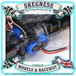 Tamiya - 1/10 RC Car Kit Peugeot 306 Maxi with Blue Painted Body (BT-01) - 47513 TAMIYA R/C KITS