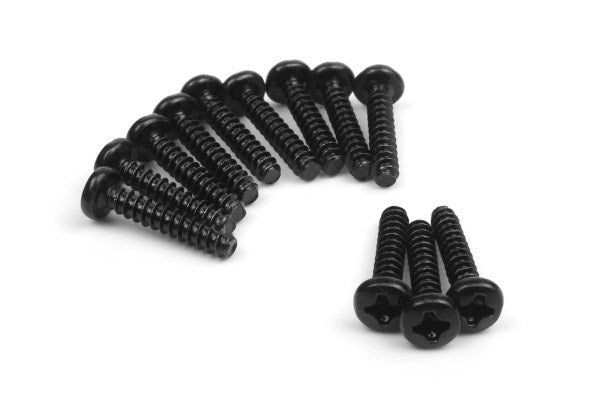 BLACKZON - Pan Head Self Tapping Screws 3x15mm (12pcs) - 540156