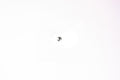 Tamiya - 3/32 Inch Steel Ball For 58505 - 5700147 TAMIYA SPARES
