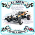 Tamiya - 1/10 RC Buggy Kit Hornet 2004 - 58336 (ESC & Motor Included - Requires Radio, Servo, Battery, Charger, PS Spray & Assembly)