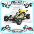 Tamiya - 1/10 RC Buggy Kit Sand Viper DT-02 Tuned 2WD - 58374 (ESC & Motor Included - Requires Radio, Servo, Battery, Charger, PS Spray & Assembly)