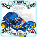 Tamiya - Holiday 1/10 RC Buggy (2010) Dt-02 - 58470 TAMIYA R/C KITS