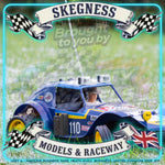 Tamiya - Holiday 1/10 RC Buggy (2010) Dt-02 - 58470 TAMIYA R/C KITS