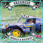 Tamiya - Holiday 1/10 RC Buggy (2010) Dt-02 - 58470 TAMIYA R/C KITS