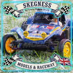 Tamiya - Holiday 1/10 RC Buggy (2010) Dt-02 - 58470 TAMIYA R/C KITS
