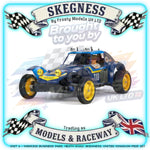 Tamiya - Holiday 1/10 RC Buggy (2010) Dt-02 - 58470 TAMIYA R/C KITS