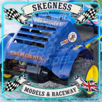 Tamiya - Holiday 1/10 RC Buggy (2010) Dt-02 - 58470 TAMIYA R/C KITS