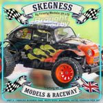 Tamiya - 1/10 Buggy Kit Blitzer Beetle - 58502 TAMIYA R/C KITS
