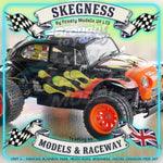 Tamiya - 1/10 Buggy Kit Blitzer Beetle - 58502 TAMIYA R/C KITS