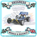 Tamiya - 1/10 RC Buggy Kit Neo Scorcher (TT-02B) - 58568 (ESC & Motor Included - Requires Radio, Servo, Battery, Charger, PS Spray & Assembly)