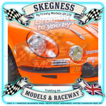 (Discontinued) Tamiya - 1/10 RC Car Kit M-Chassis Alpine A110 Jägermeister 1973 (M-06) - 58708 TAMIYA R/C KITS