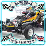 Tamiya - 1/10 RC Buggy Hornet EVO. - 58742 TAMIYA R/C KITS