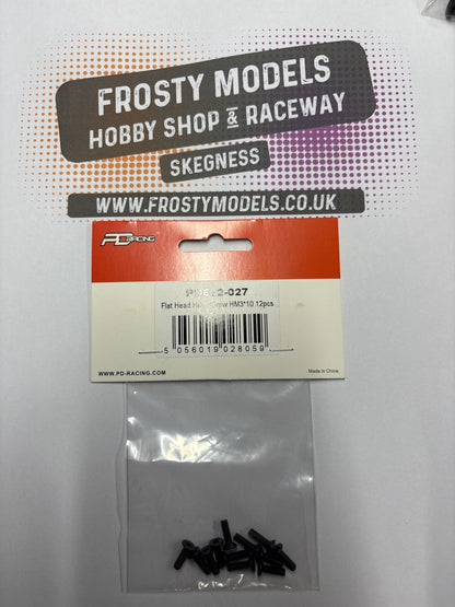 PD RACING SPARES - 1/10TH TK10 & TR10 - Flat Head Hex ScrewHM3*10 12PCS