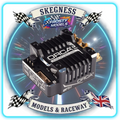 ORCA - OE1 WLEB Blinky – competition spec electronic speed controller ESC (Black) 2S Stock - OR-ES25OE1WLEB