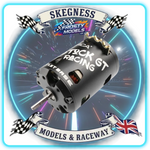 ORCA - Stock GT – 1/10 Stock fixed timing 17.5 turn sensored brushless stock motor - OR-MO24STGT175
