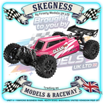 UDI RC - 1/12 GLEAM 4WD BUGGY PRO BRUSHLESS RTR - PINK - UDI-UD1204PP (Built very simular to Arrma Grom but bigger) - Battery & Charger Required - See Description