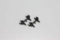 Kyosho - Knuckle Arm Set Camber 1.5 Mini-Z AWD - K.MDW005-15 MINI-Z RACER