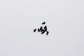 Kyosho - Hex Button Head Screws M2x4mm (10) - K.1-S12004H