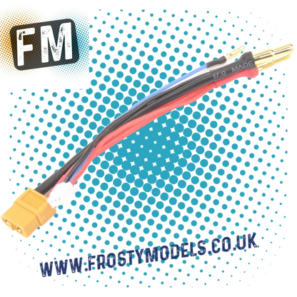 MK - RC CAR/BUGGY CHARGE XT60 LEAD TO 4/5MM & 2MM BALANCE 2S - MK2957