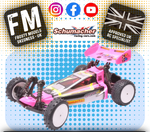 Schumacher - 2WD 1/10 RC Buggy Cougar 2 Works Classic - Kit - W/Wheels, Tyres & Body - K216