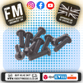SCHUMACHER RC - (BLACK) M3 Button Head Bolts 12mm (10PCS) - U7106