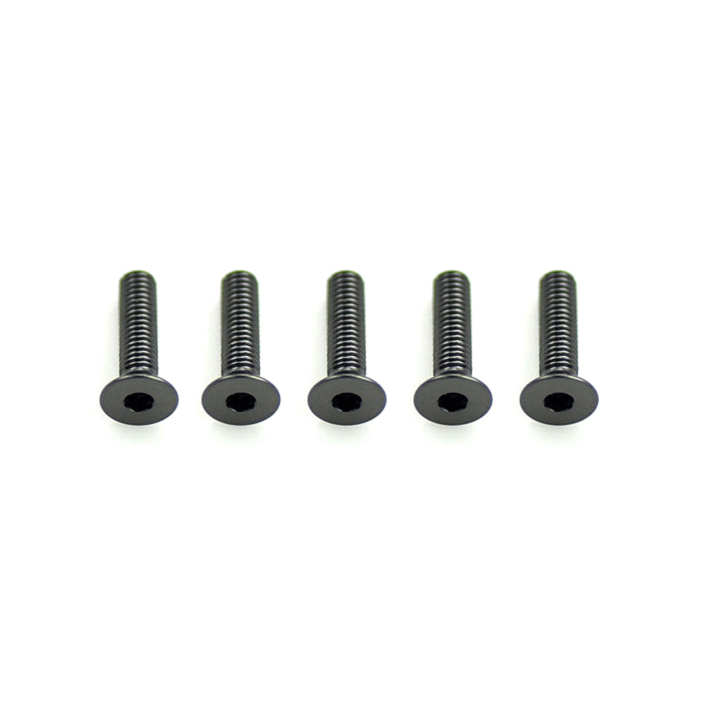 Core RC - Alloy Csk Hex Screws M3x12 pk10 - CR313
