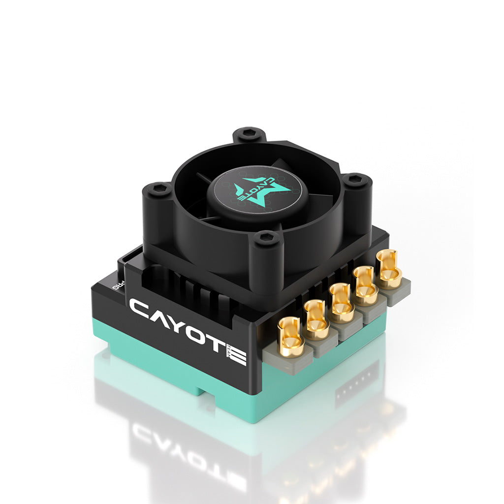 CAYOTE - CREST RS60 1/10 Stock Competition ESC - CYEA11004 (Ideal for 1/10th Touring Car &amp; Buggy, 1/10th Drift, Professional Stock Class Racing)