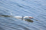 JOYSWAY - RC Magic Cat V6 Micro Electric ABS 265mm Brushed 2.4G RTR Boat - JW8108V6