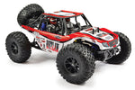 FTX - OUTLAW 1/10 BRUSHED 4WD ULTRA-4 RTR BUGGY - RADIO/BATTERY/CHARGER INCLUDED - FTX5570