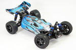 FTX - VANTAGE 2.0 BRUSHED BUGGY
1/10 4WD RTR - FTX5533B
