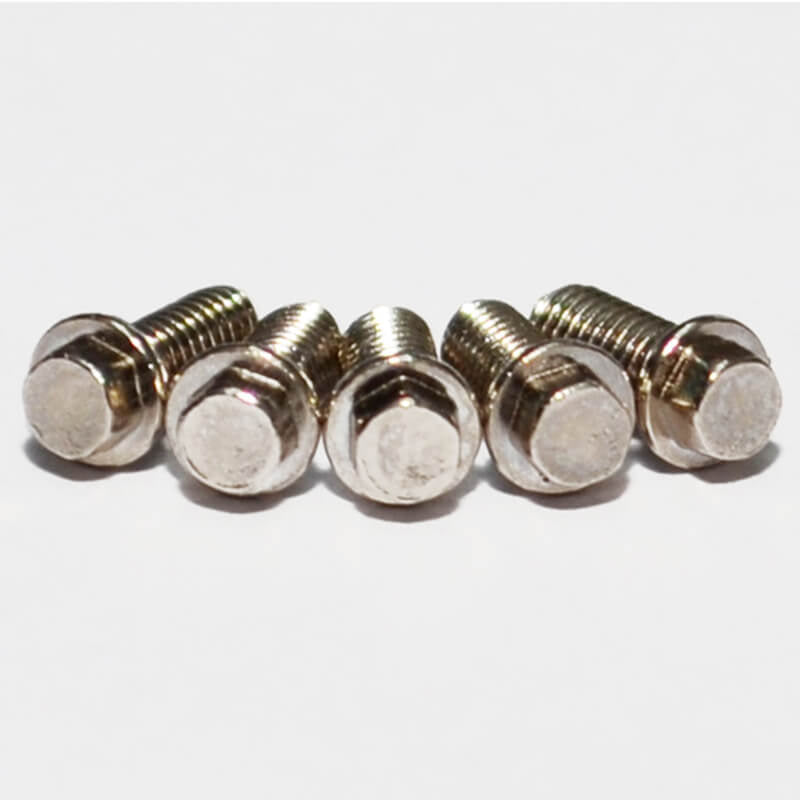 RC4WD - MINIATURE SCALE HEX
BOLTS (M2.5 X 6MM) (SILVER) - Z-S0663