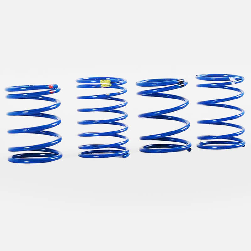 RC4WD - 70MM KING SCALE SHOCK
SPRING ASSORTMENT - Z-S1123