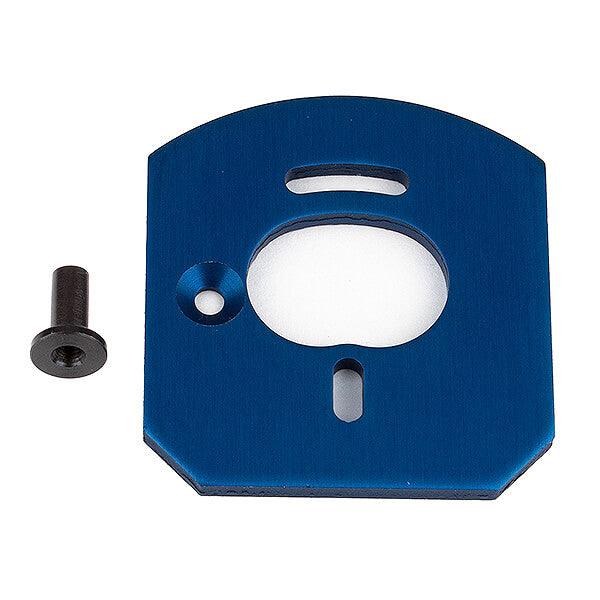 ASSOCIATED ELECTRICS - TEAM ASSOCIATED APEX 2 MOTOR
MOUNT - AS31879