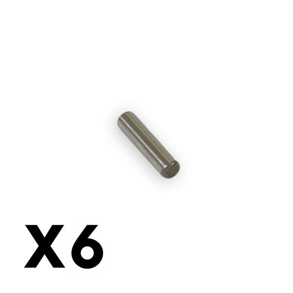 FTX - KANYON/MIGHTY THUNDER
PIN (6PCS) 8 x 2 - FTX6484
