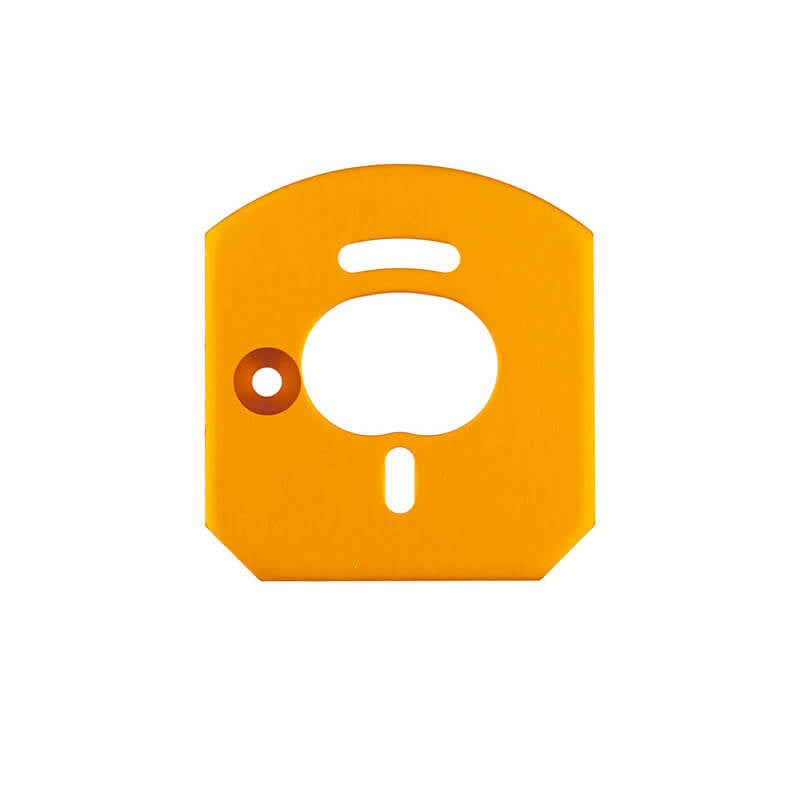ASSOCIATED ELECTRICS - TEAM ASSOCIATED 6x6 MOTOR
MOUNT PLATE, GOLD - AS31953