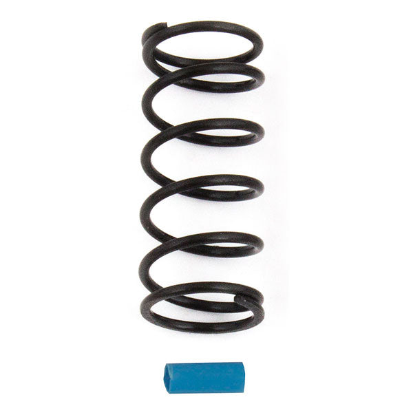 ASSOCIATED ELECTRICS - ASSOCIATED RC12R6 SHOCK SPRING
BLUE 12.4 lb/in - AS4784