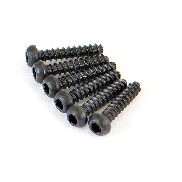 FTX - ROUND HEAD SELF TAPPING HEX
SCREW 6PCS2*10 - FTX6519