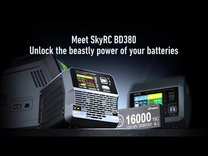 SKY RC - BD380 Standalone Battery Discharger - SK-600153 (OPTION FOR D200NEO & T1000 CHARGERS)