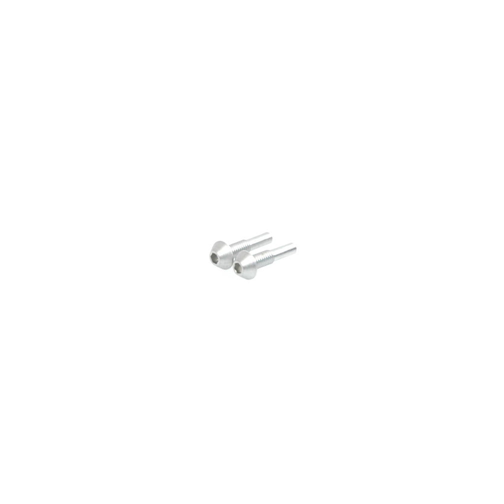 Schumacher - Pivot Pin; Screw Type 12mm  pr - U3305