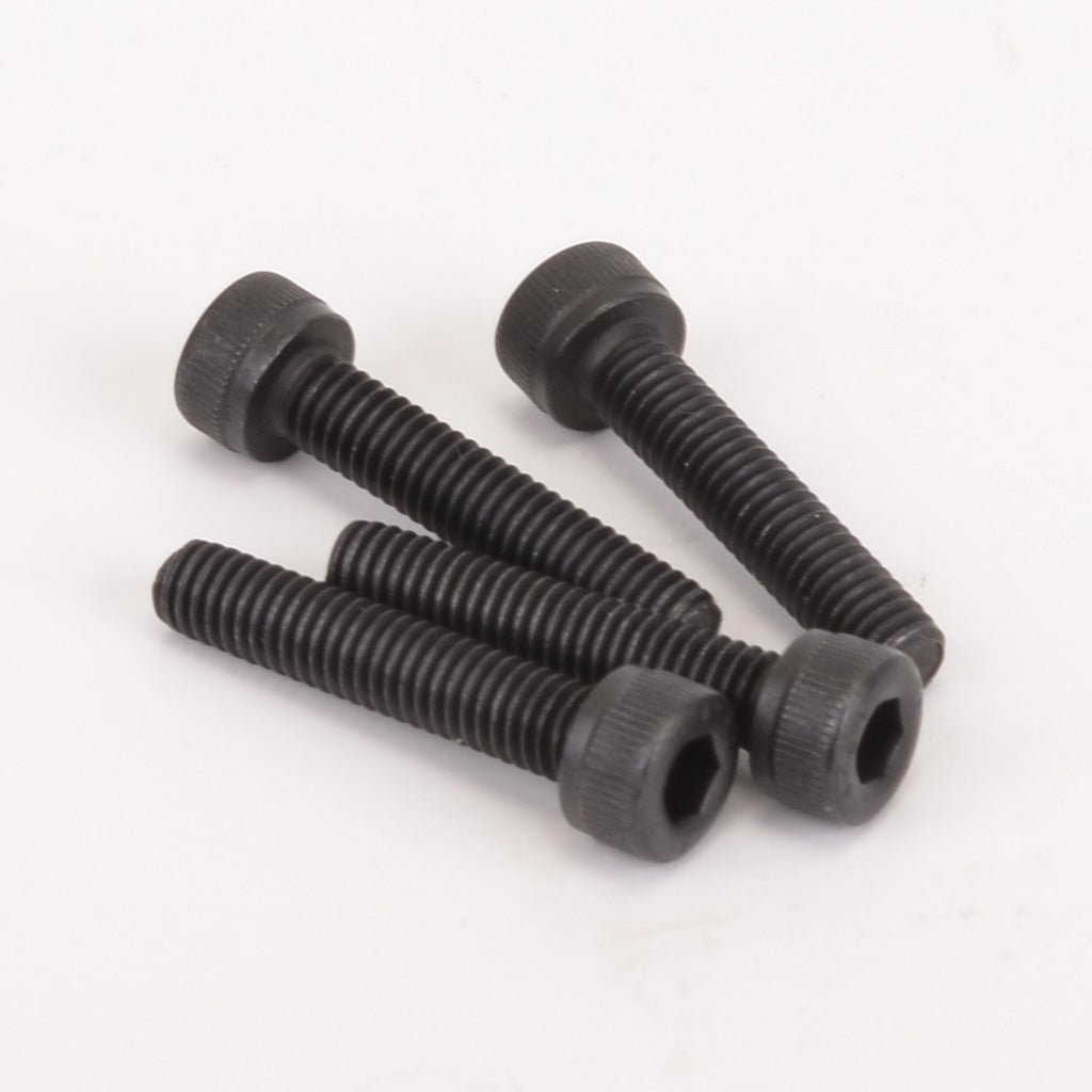 Schumacher - SPEED PACK - M4x20 Cap Hd (4 pcs) - U4154